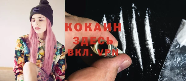 гидра Арсеньев