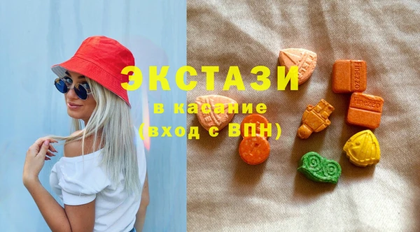 тгк Ельня