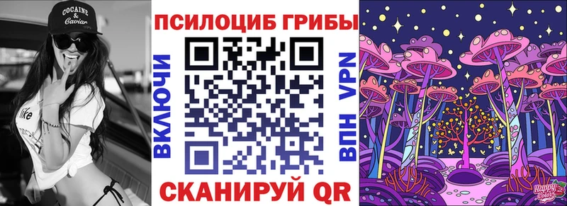 Псилоцибиновые грибы мухоморы  мега зеркало  Гдов 